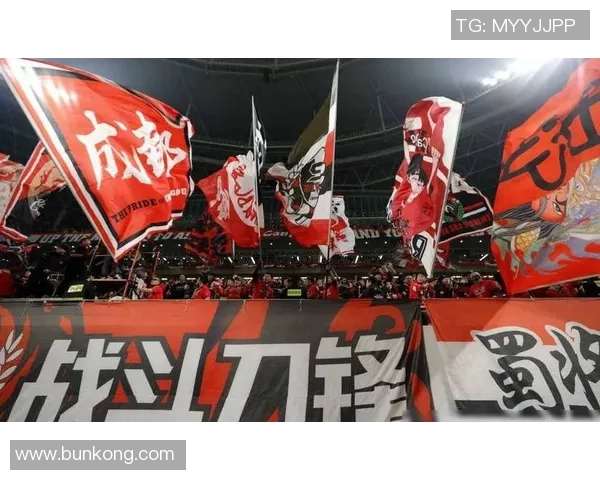 成都足球队在足球团队协作排行榜中荣获第五名展现出强大团队精神与默契配合