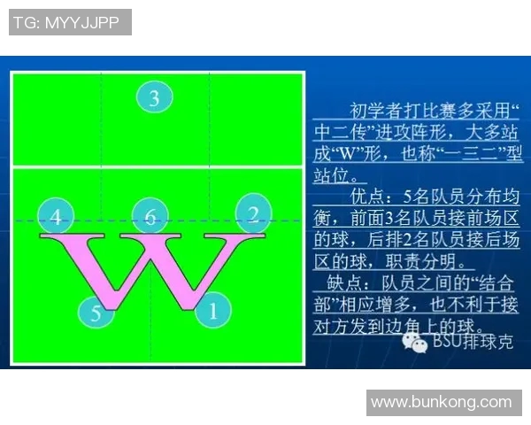 成都排球队节奏对比分析揭示战术优势与未来发展潜力