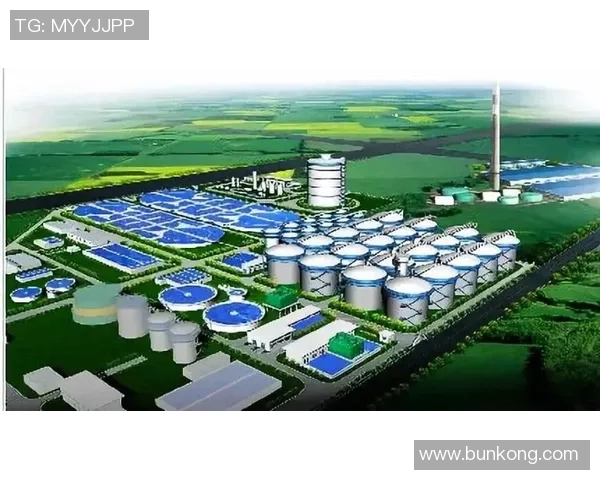 武汉足球队在钻石联赛中的技术表现分析与未来展望